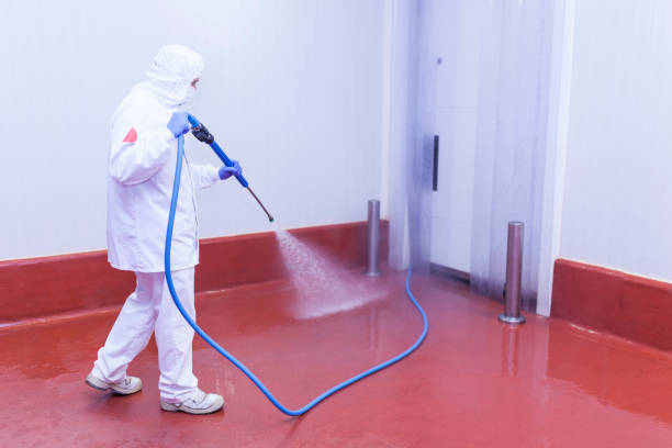 Best Playground Equipment Cleaning  in Redkey, IN